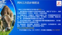 澤牧久遠亮相2019武漢畜博會 以技術(shù)轉(zhuǎn)讓引領(lǐng)草食動物營養(yǎng)新風(fēng)潮